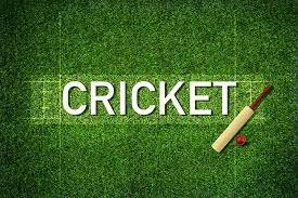 Why Should you Consider Betting with an Online Cricket ID?
