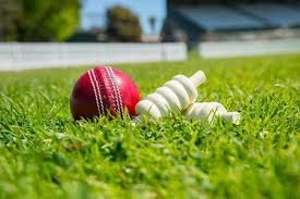 Cricket Betting: A Professional's Perspective
